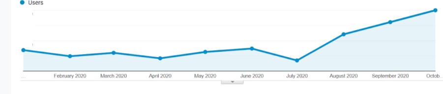 traffic to the website increased