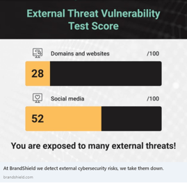 Brandshield Vulnerabilty test score